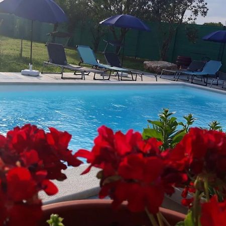 וודניאן Holiday Home Dioniza מראה חיצוני תמונה