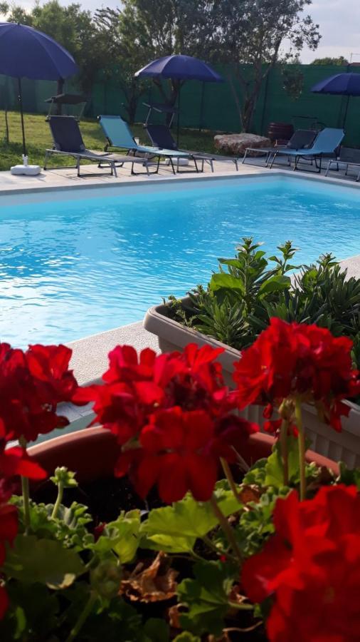 וודניאן Holiday Home Dioniza מראה חיצוני תמונה