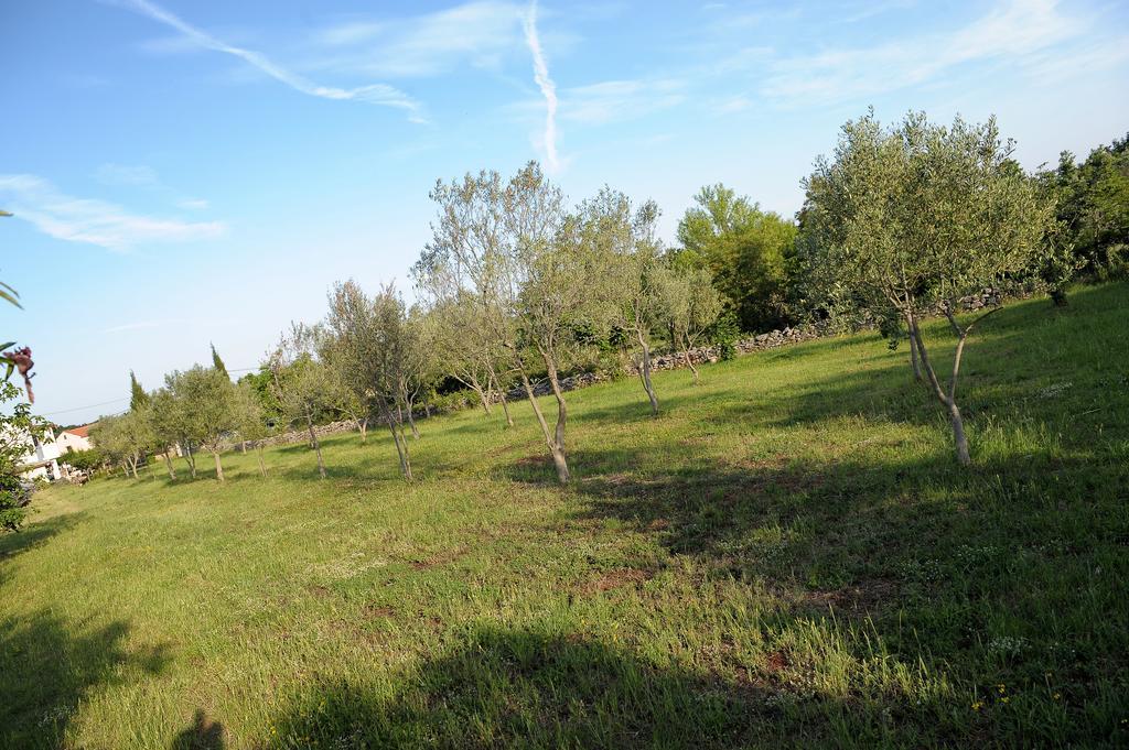 וודניאן Holiday Home Dioniza חדר תמונה